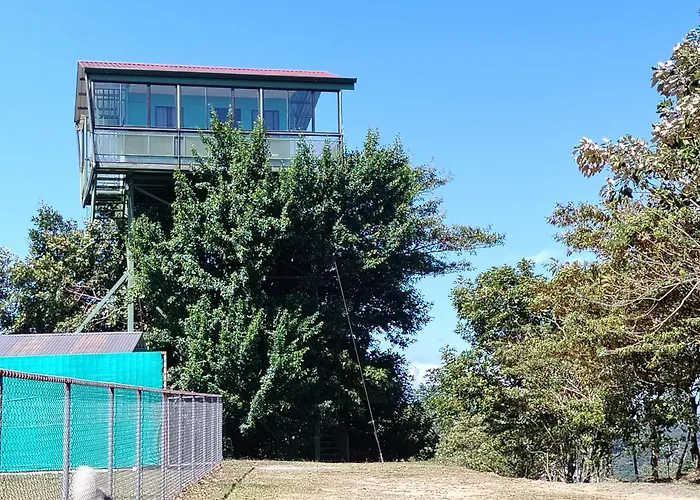 Casa Arbol