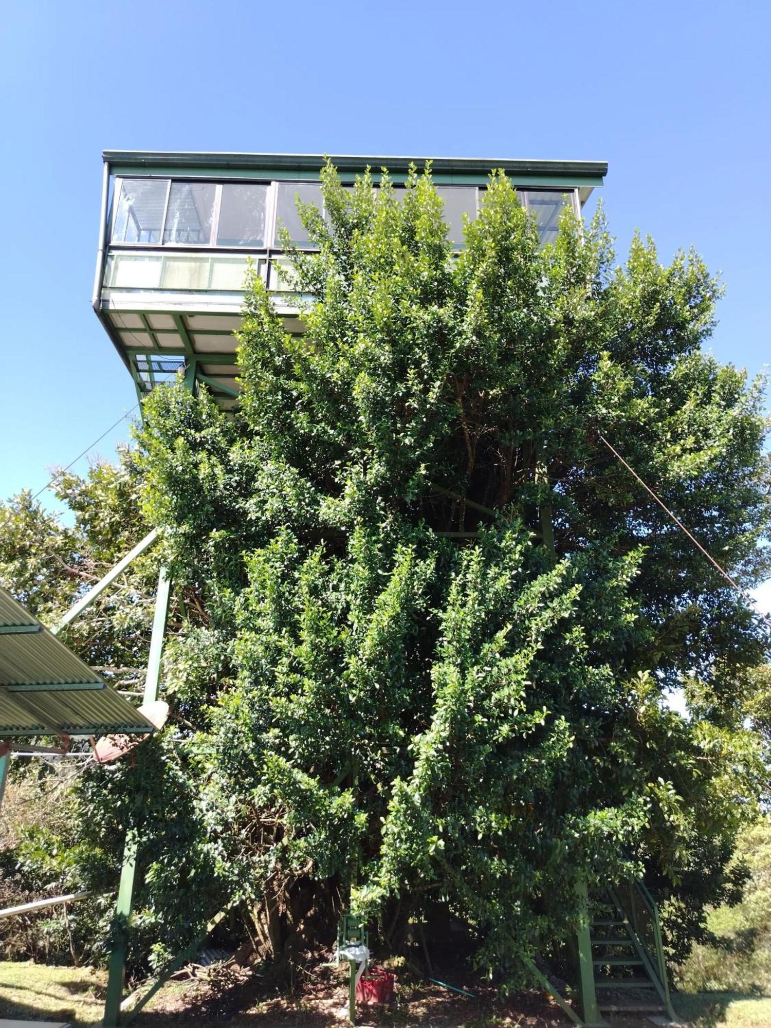 Casa Arbol Apartment Aguas Zarcas